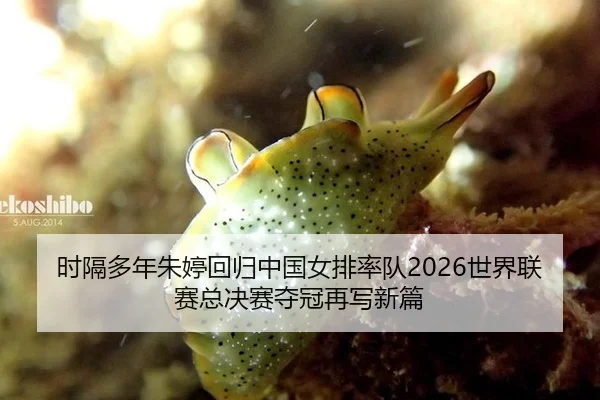 shi-ge-duo-nian-zhu-ting-hui-gui-zhong-guo-nv-pai-shuai-dui-shi-jie-lian-sai-zong-jue-sai-duo-guan-zai-xie-xin-pian-2-392.jpg