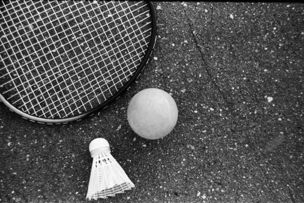 badminton racket shuttlecock court